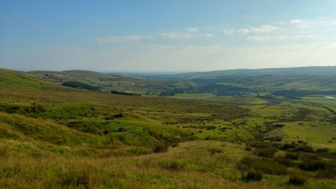 29028893541_0f64ec334a_o