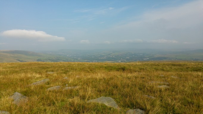 29028939131_a1a7f73a11_o (1).jpg